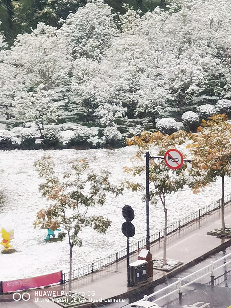 Фɽѩ121գ
