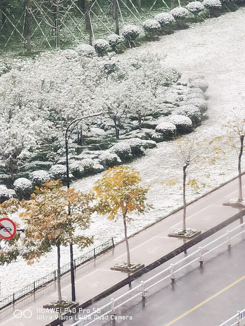 Фɽѩ121գ