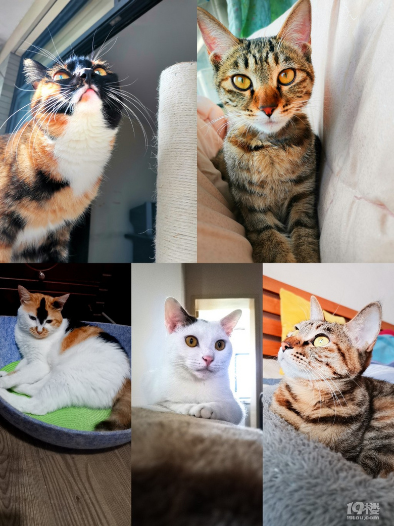 M(fi)I(lng)B(yng)ѽ^(q)x