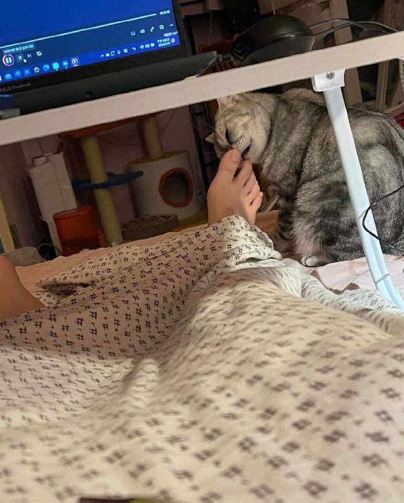 貓聞了一下主人的腳，露出了難以言說的表情…好臭！