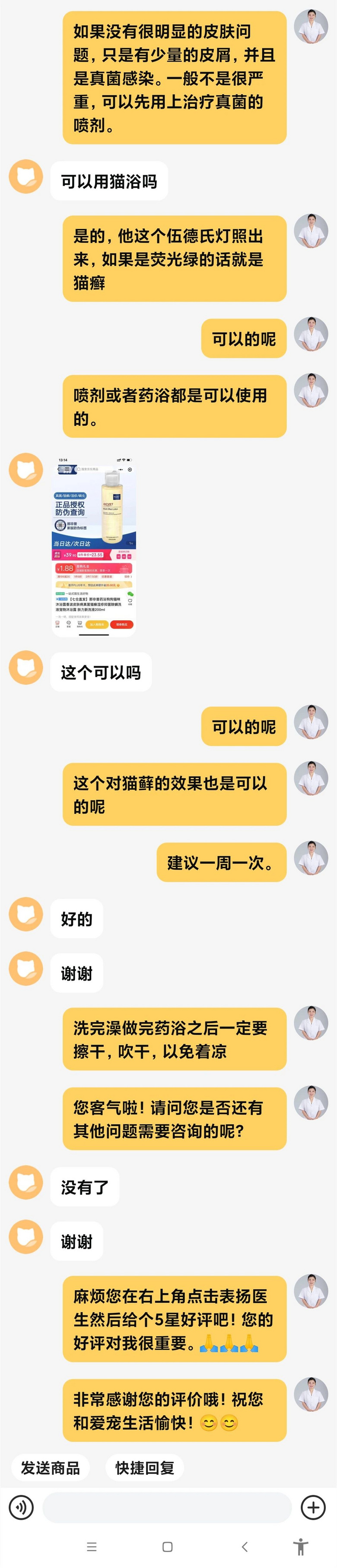 撿了一只像“樹妖姥姥”的貓回家，細心照顧幾個月…真身也太美了