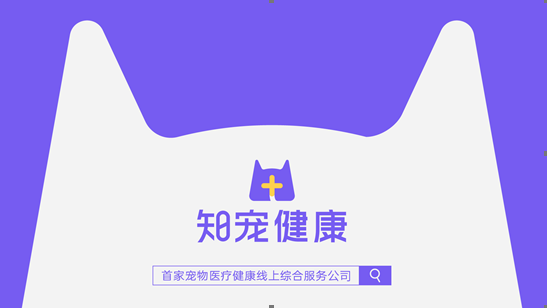 撿了一只像“樹妖姥姥”的貓回家，細心照顧幾個月…真身也太美了