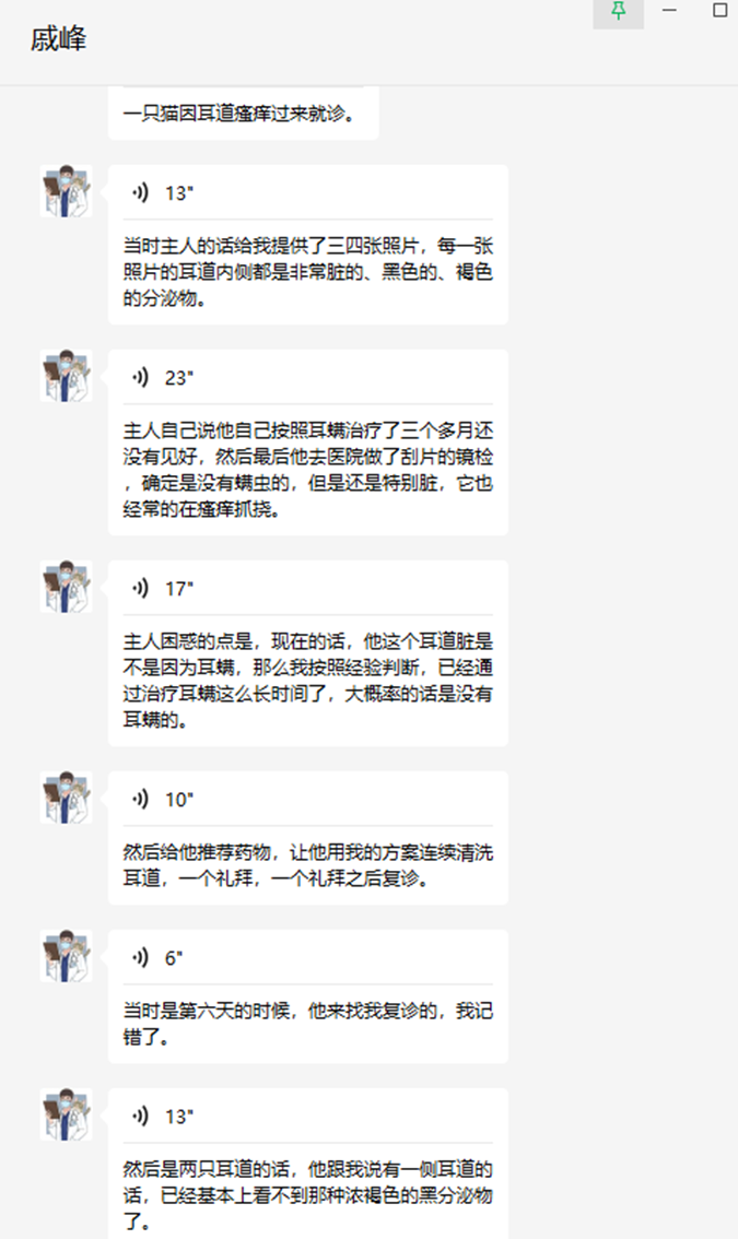 撿了一只像“樹妖姥姥”的貓回家，細心照顧幾個月…真身也太美了