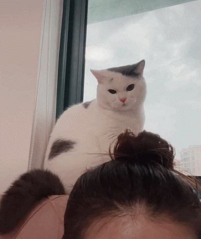 ؈_܂ҪԞ̓ؓ(f)]뵽ȭ
