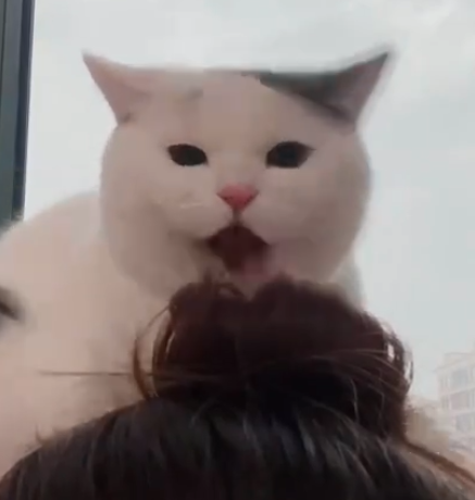 ؈_܂ҪԞ̓ؓ(f)]뵽ȭ