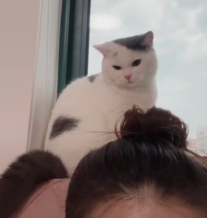 ؈_܂ҪԞ̓ؓ(f)]뵽ȭ