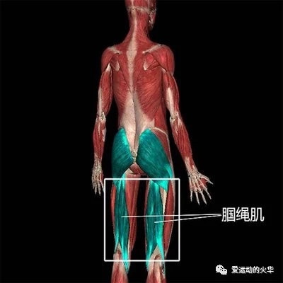 體考系列——你一定要知道的無傷跑步訓(xùn)練