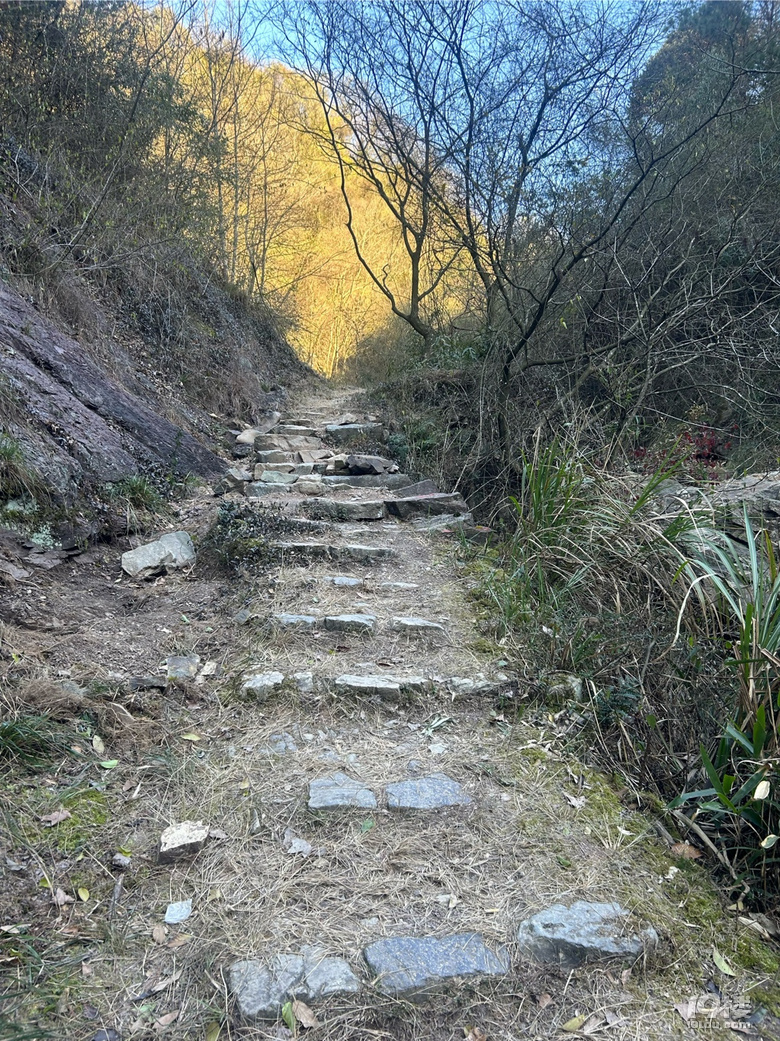 高山流水
