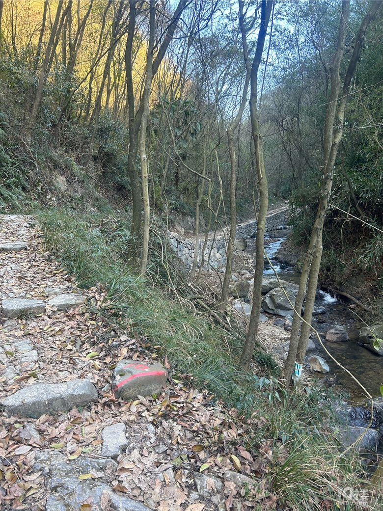 高山流水
