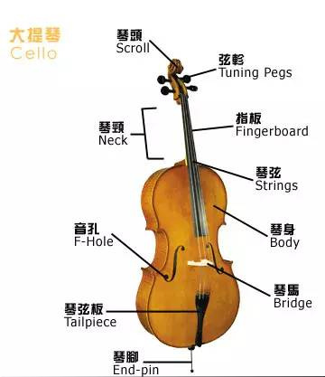 早鳥8折 |《教父》《海上鋼琴師》《尋夢(mèng)環(huán)游記》...兩把大