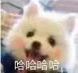 ](mi)뵽˨QӡZ(y)_(d)Ȼ@ô˼