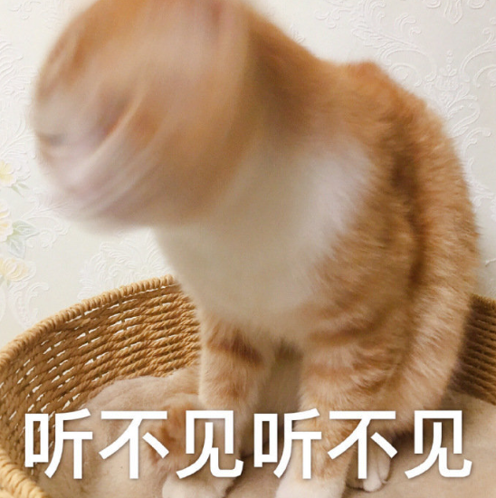 妹子陽后四天沒洗頭，小貓湊近一聞隔夜飯差點吐出來：好像看見我