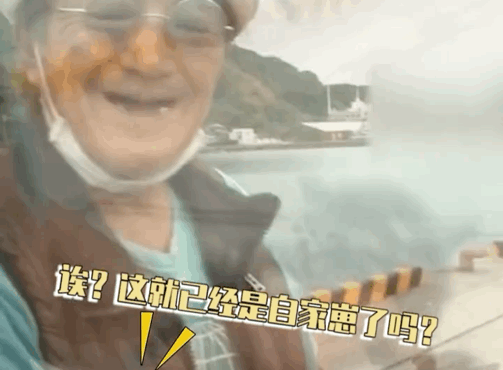 拼車拼到一只貓，忍不住想rua…司機立馬制止：別騷擾乘客，它