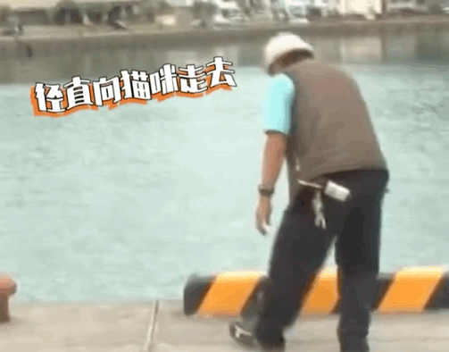 拼車拼到一只貓，忍不住想rua…司機立馬制止：別騷擾乘客，它