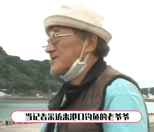 拼車拼到一只貓，忍不住想rua…司機立馬制止：別騷擾乘客，它