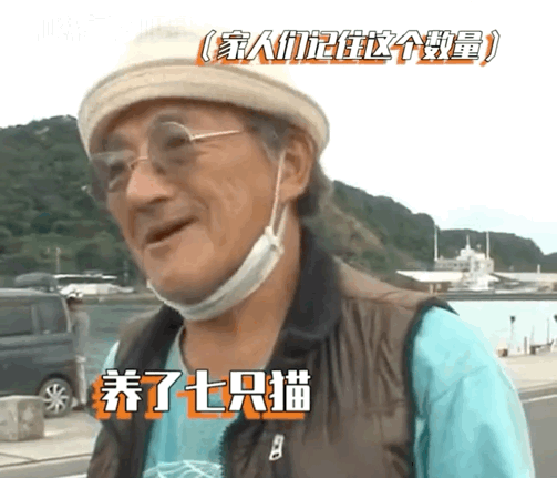 拼車拼到一只貓，忍不住想rua…司機立馬制止：別騷擾乘客，它