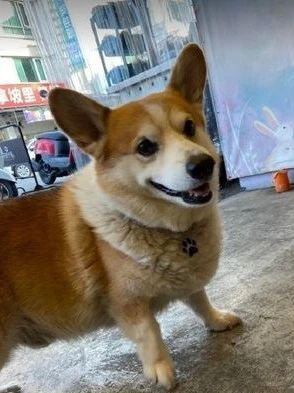 鄰居阿姨超熱情，妹子以為相中自己做兒媳，結(jié)果…卻是想討她家的