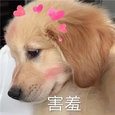 鄰居阿姨超熱情，妹子以為相中自己做兒媳，結(jié)果…卻是想討她家的