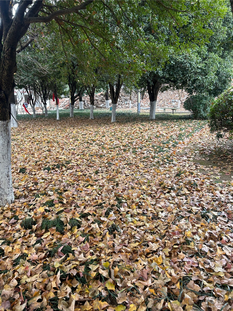剡園地標(biāo)建筑