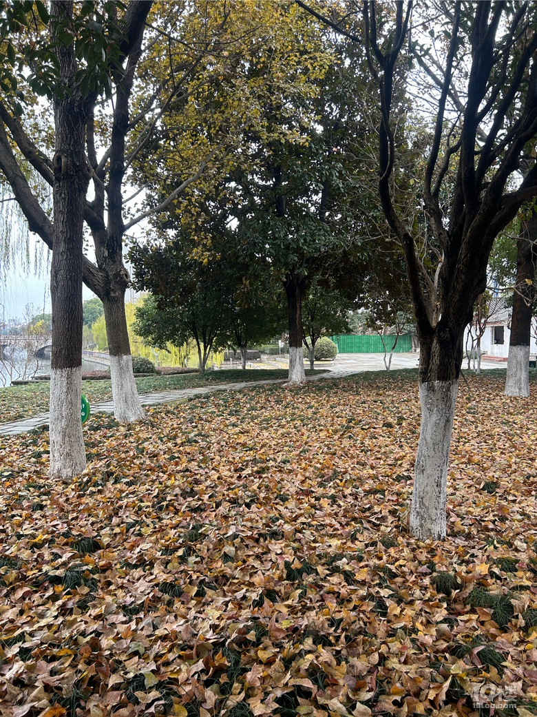 剡園地標(biāo)建筑