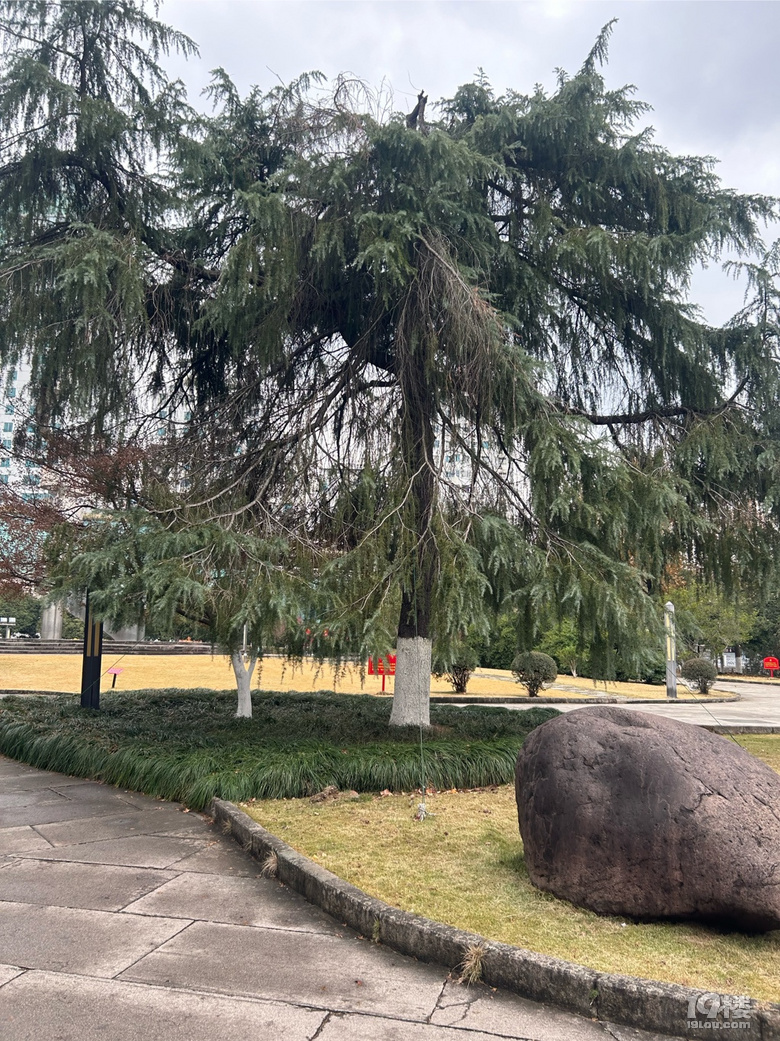 剡園地標(biāo)建筑