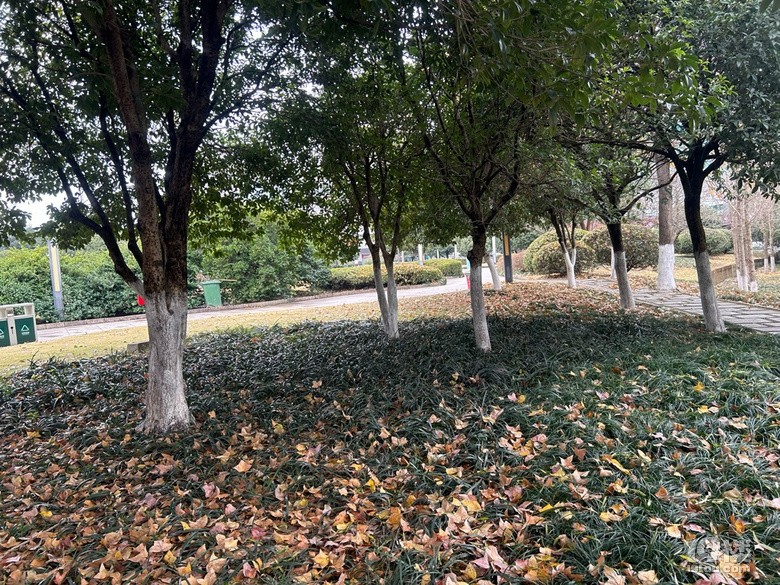剡園地標(biāo)建筑