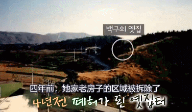 那塊空地上的流浪狗，已經(jīng)站在那里等了四年了…
