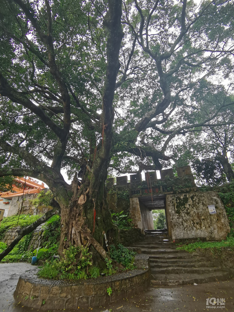 潮汕行攻略行程篇