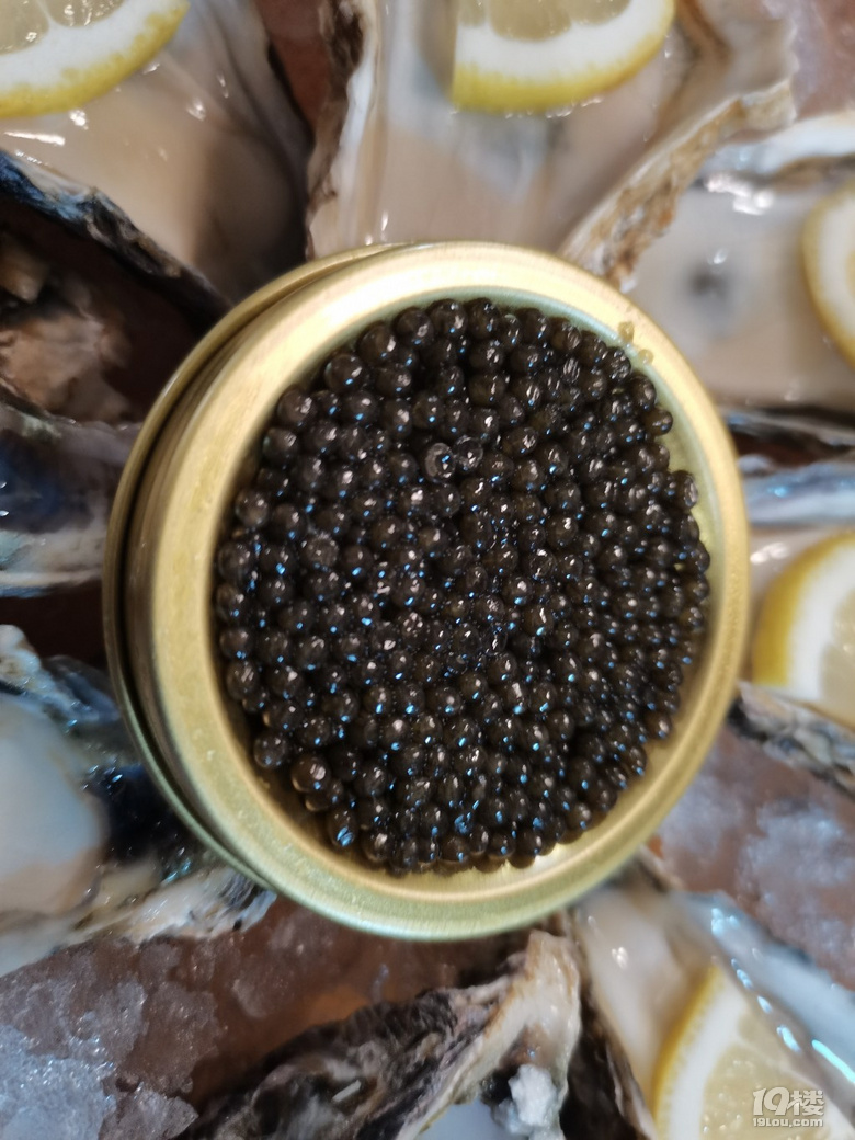 ֭rҲҲҹ_(ki)ʼˡ