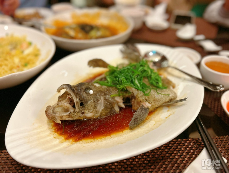 【春節(jié)游澳門】想好好吃頓飯，真的太難了