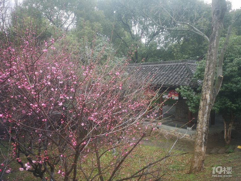 煙雨蒙蒙西溪梅墅