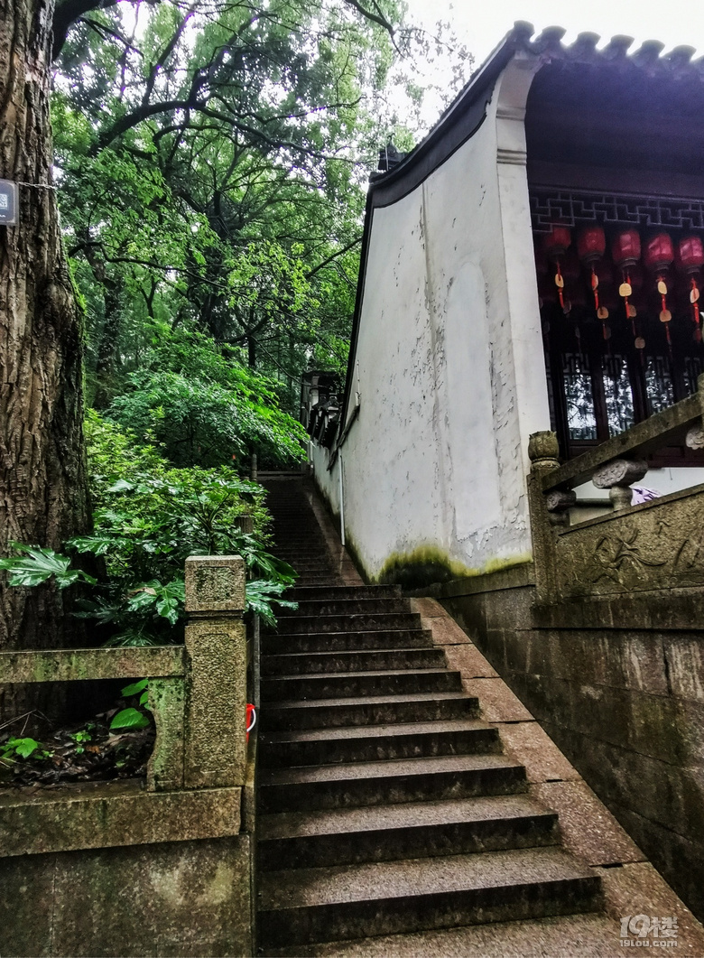 曲徑通幽處，禪房花木深-常熟興福寺
