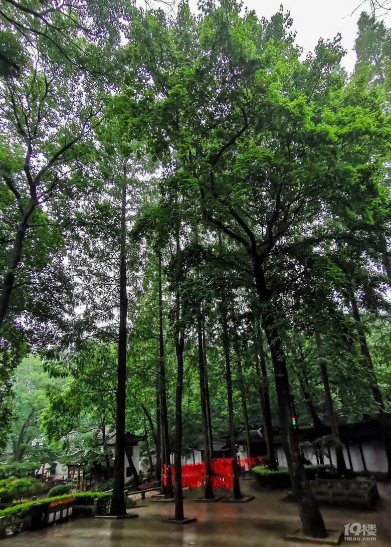 曲徑通幽處，禪房花木深-常熟興福寺