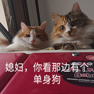氛圍感拉滿！這幾家店太適合情人節(jié)拷會(huì)兒啦