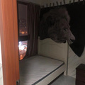 鿴ß