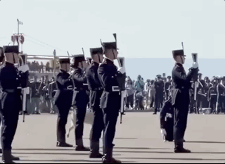 狗子在閱兵儀式上睡大覺，還嫌士兵妨礙自己曬太陽…有種不顧人死