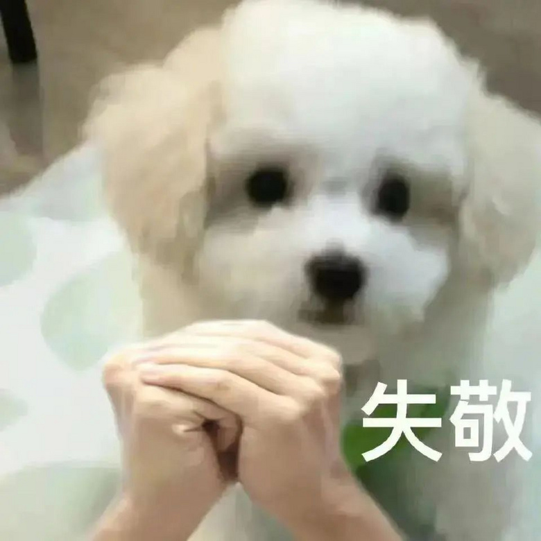 狗子在閱兵儀式上睡大覺，還嫌士兵妨礙自己曬太陽…有種不顧人死