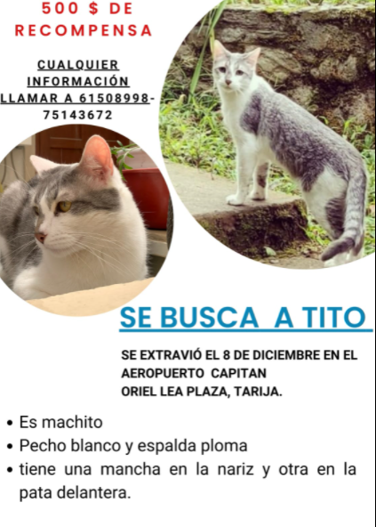 չ˾؈GԼ҅sՈ(qng)ͨ`æȫW(wng)ŭ