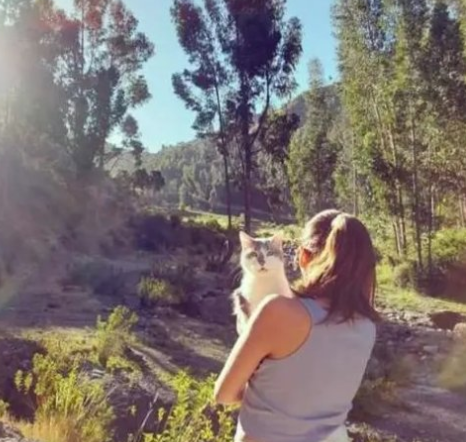 չ˾؈GԼ҅sՈ(qng)ͨ`æȫW(wng)ŭ