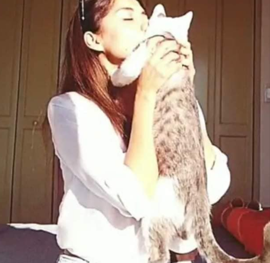 չ˾؈GԼ҅sՈ(qng)ͨ`æȫW(wng)ŭ