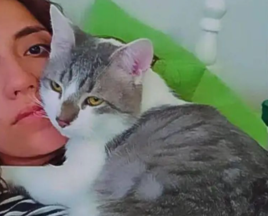 չ˾؈GԼ҅sՈ(qng)ͨ`æȫW(wng)ŭ