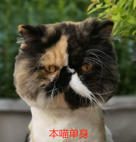 ݆Tē쵽ֻy(d)ص؈Y(ji)ֲĘ쌦(du)؈ƨ