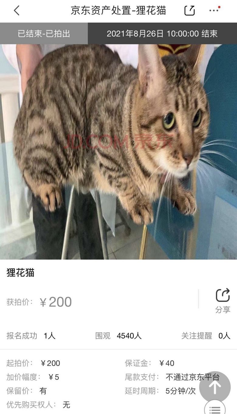 B(yng)һֻ؈̶̎׷犌Լr(ji)̧20f(wn)ˣЦ(li)
