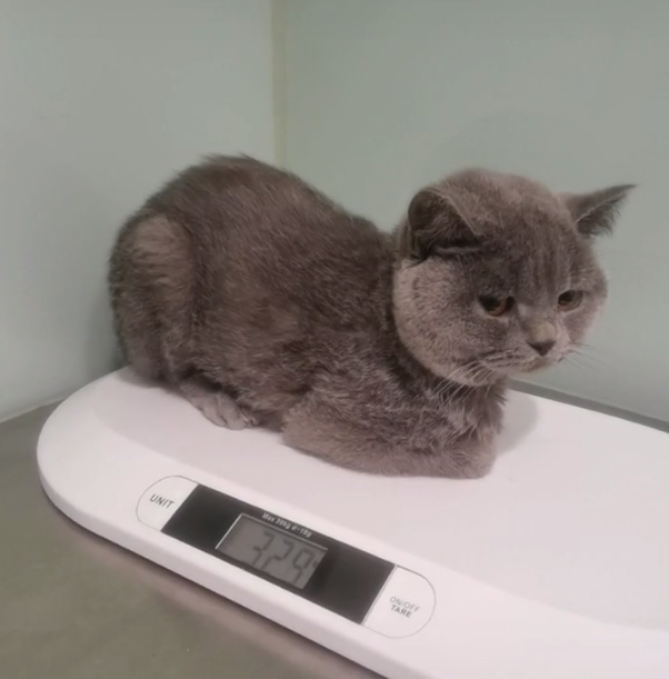 B(yng)һֻ؈̶̎׷犌Լr(ji)̧20f(wn)ˣЦ(li)