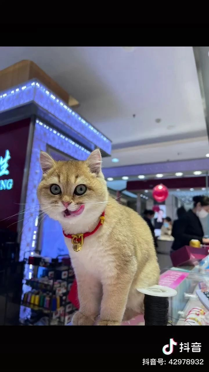 B(yng)һֻ؈̶̎׷犌Լr(ji)̧20f(wn)ˣЦ(li)