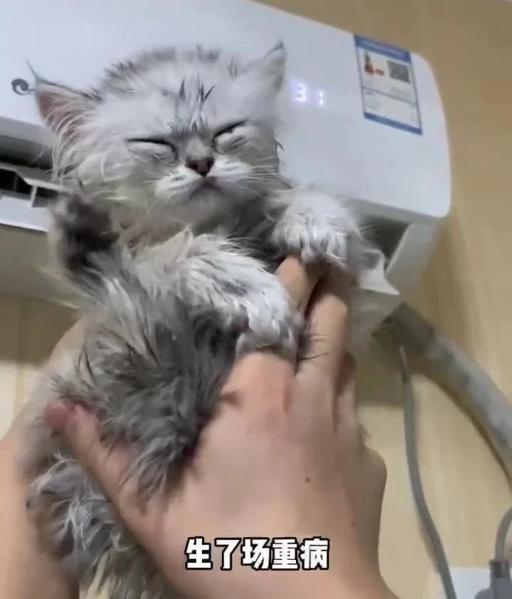 B(yng)һֻ؈̶̎׷犌Լr(ji)̧20f(wn)ˣЦ(li)