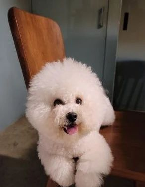 ɢ경MݣɵվTڡԭ@