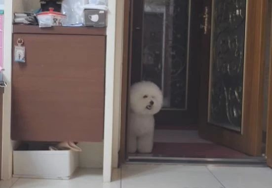 ɢ경MɵվTڡԭ@
