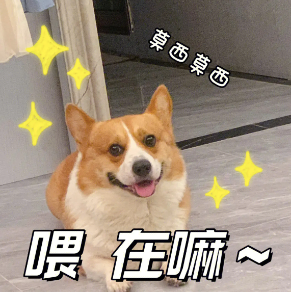 r(nng)»ϳ̩ϣ¸׷l(f)F(xin)...Ϲ
