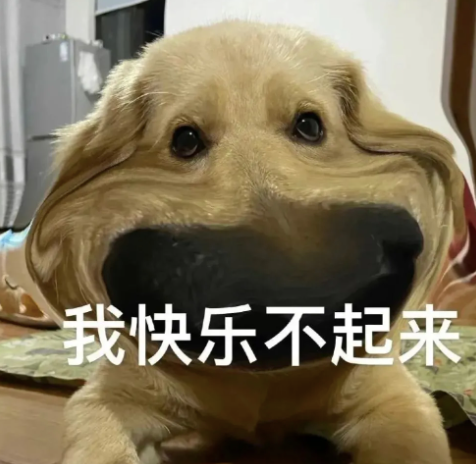 18歲愛(ài)犬離世，主人含淚埋葬，結(jié)果第二天它卻出現(xiàn)在收容所…詐